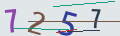 verifycode